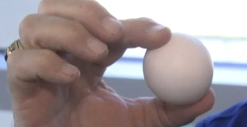 De ce este acest ou special. Ai şanse de 1 la 1.000.000.000 să îl găseşti