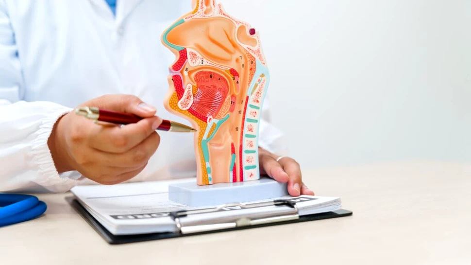 Cercetătorii au creat o tehnologie prin care un esofag poate fi construit cu celulele pacientului