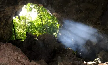 Excremente de lilieci vechi de 4.300 de ani dintr-o peșteră din Jamaica dezvăluie istoria Pământului