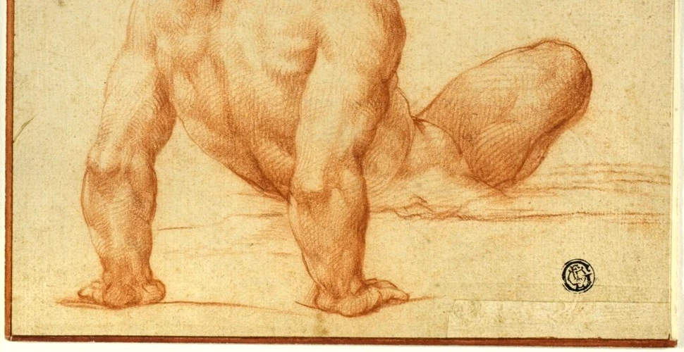 Un desen misterios s-a dovedit a fi schița lui Michelangelo pentru Capela Sixtină