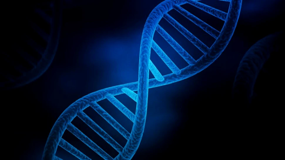 Oamenii de știință au descoperit ce anume ar putea cauza îmbătrânirea prematură