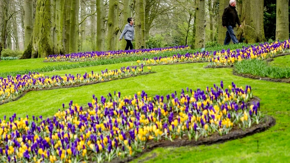 Cea mai mare grădină de flori din lume, parcul Keukenhof din Olanda, s-a deschis din nou (GALERIE FOTO)