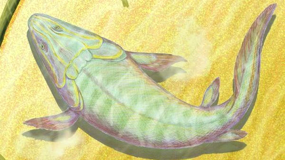 Inotatoarele pestilor, originea degetelor umane