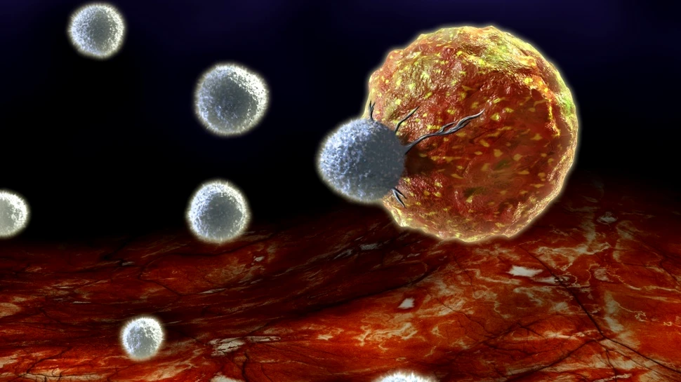 Un nou medicament promiţător, gata să lupte împotriva cancerului