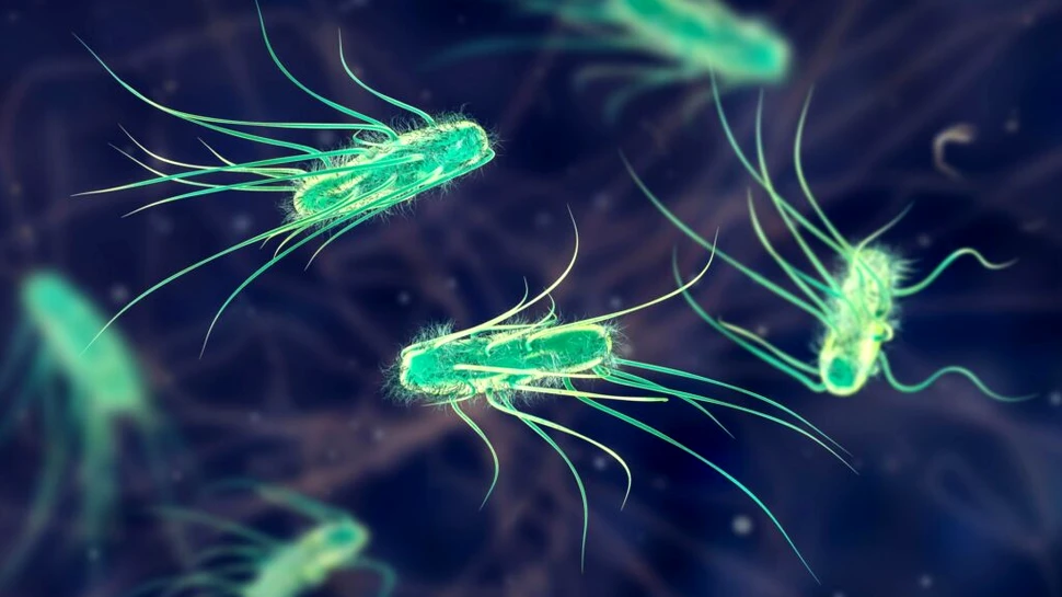 Un tratament revoluționar a distrus 99% din superbacteriile rezistente la antibiotice