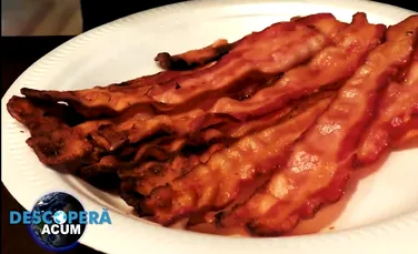 Descoperă Acum: Porcii care produc bacon sănătos. Există trei tipuri de conştiinţă, iar computerele au reuşit să dobândească una dintre ele. Hitler ar fi supravieţuit celui de-Al Doilea Război Mondial