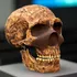 ADN-ul neanderthalian ar putea fi cauza unor malformații cerebrale moderne