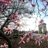 Când începe vremea de primăvară adevărată în România?