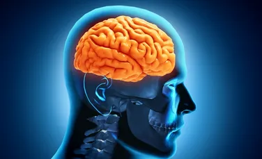 De ce se micşorează creierele oamenilor? Efectul îngrijorător este produs de o problemă contemporană tot mai răspândită