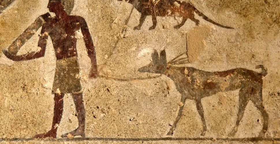 Un desen cu o mangustă în lesă, vechi de 4.000 de ani, dintr-un mormânt egiptean îi contrariază pe cercetători. ”Nu există o altă imagine similară în arta egipteană”