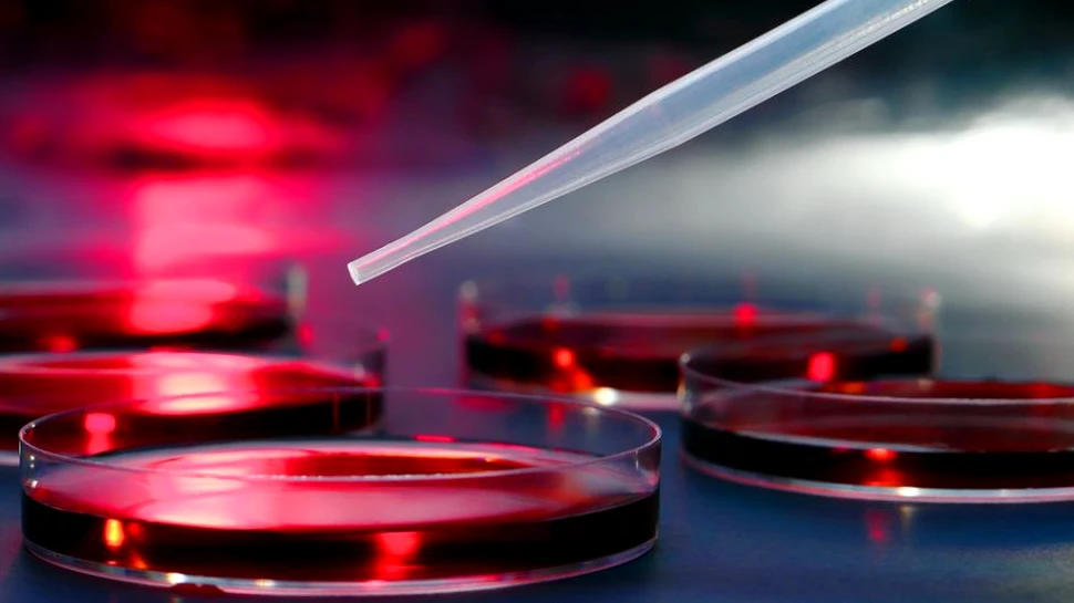 Un test universal pentru depistarea carenţei de vitamina D a fost respins în Statele Unite