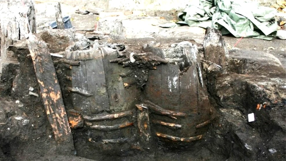 Excrementele vikingilor îi ajută pe cercetători să reconstruiască genomul unui parazit antic