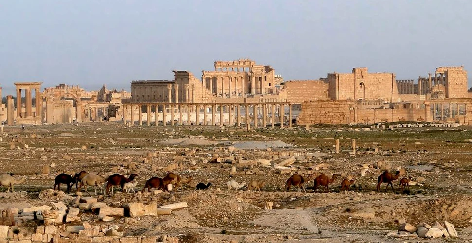 Directorul UNESCO denunţă distrugerea monumentelor din oraşul antic Palmira în timpul ocupaţiei ISIS
