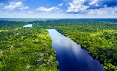 Defrișările din pădurea amazoniană din Brazilia au ajuns la un nivel record