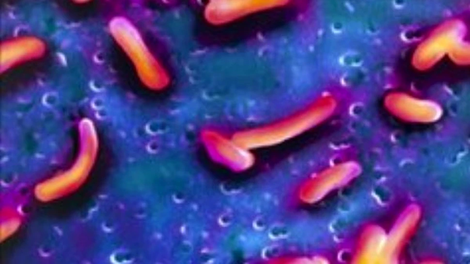 Holera loveste Nigeria