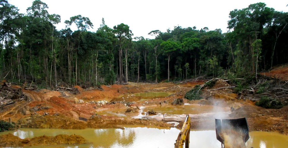 Copii folosiți ca „scuturi umane” în pădurea amazoniană din Peru