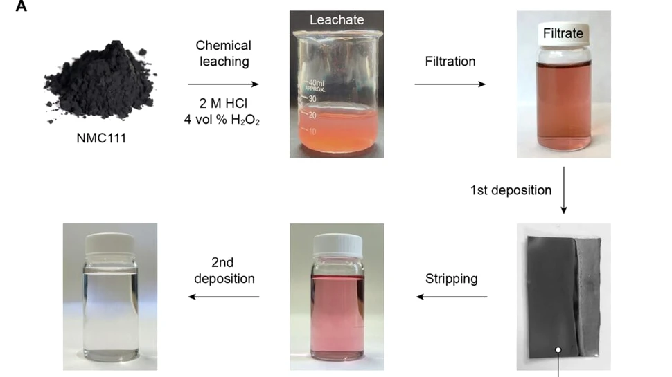 Un acid din struguri ar putea ajuta la reciclarea metalelor din baterii
