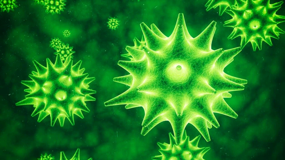 Virusurile nu au nevoie de mutații speciale pentru a infecta oamenii, arată un studiu