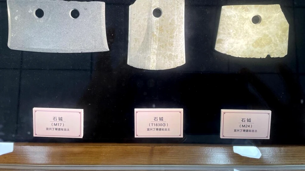Un topor ritualic cu un tigru gravat, datând din Neolitic, a fost descoperit în China