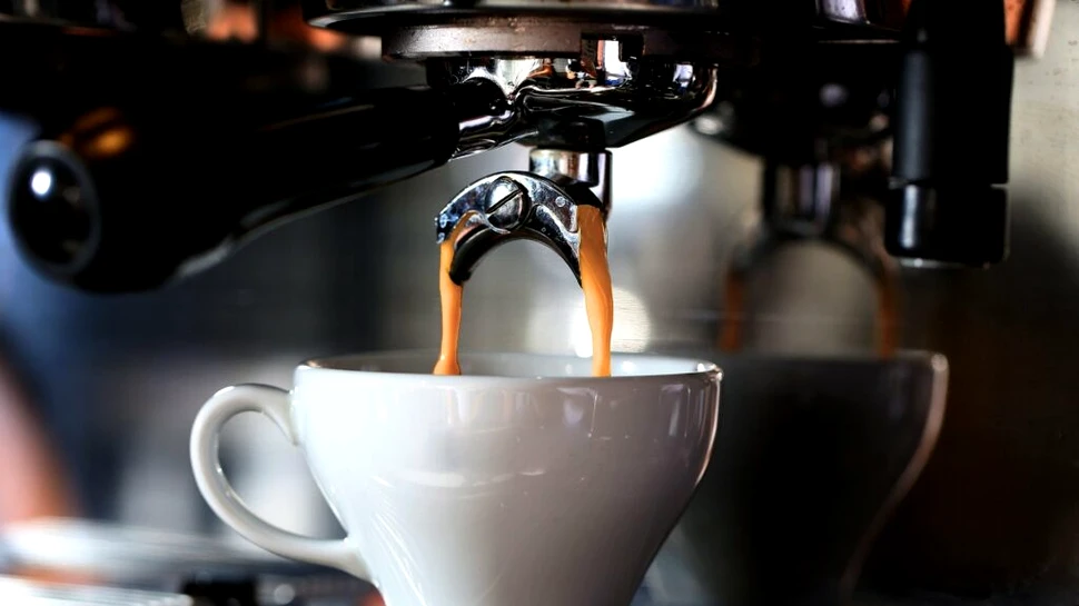 Păsările și albinele, secretul pentru o cafea mai bună?