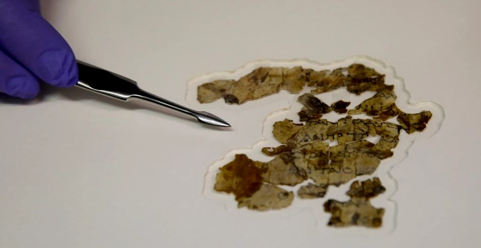 Descoperiri uimitoare în „Peștera Ororilor”. Un pergament biblic, mumia unui copil și cel mai vechi coș din lume