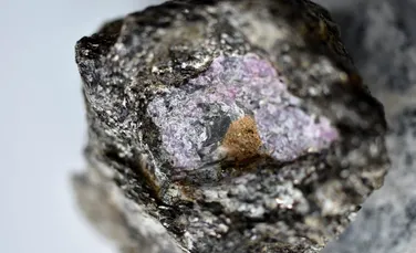 Dovezi ale vieții antice, găsite într-un rubin pentru prima oară. Conține carbon-12 de origine organică