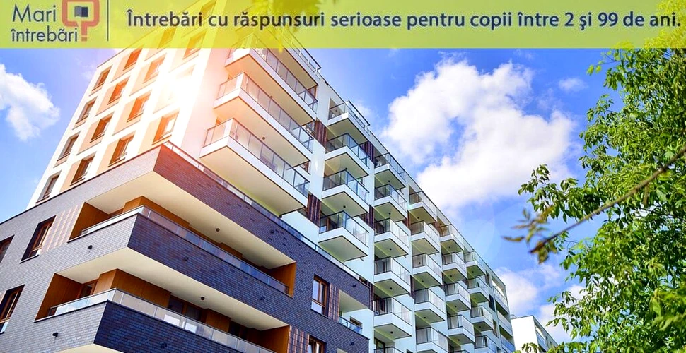 De ce sunt casele dreptunghiulare?