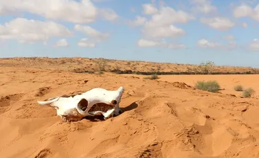 Sahara se EXTINDE: Cel mai mare deşert de pe glob a crescut cu 10% în ultimul secol din cauza schimbărilor climatice