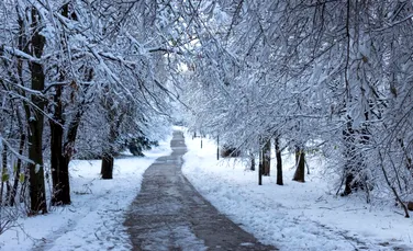 Meteorologii au anunțat temperaturi de „gerul Bobotezei” la început de an