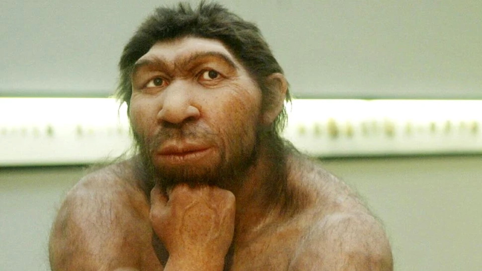 De ce au dispărut Neanderthalienii? Descoperire surpriză a cercetătorilor