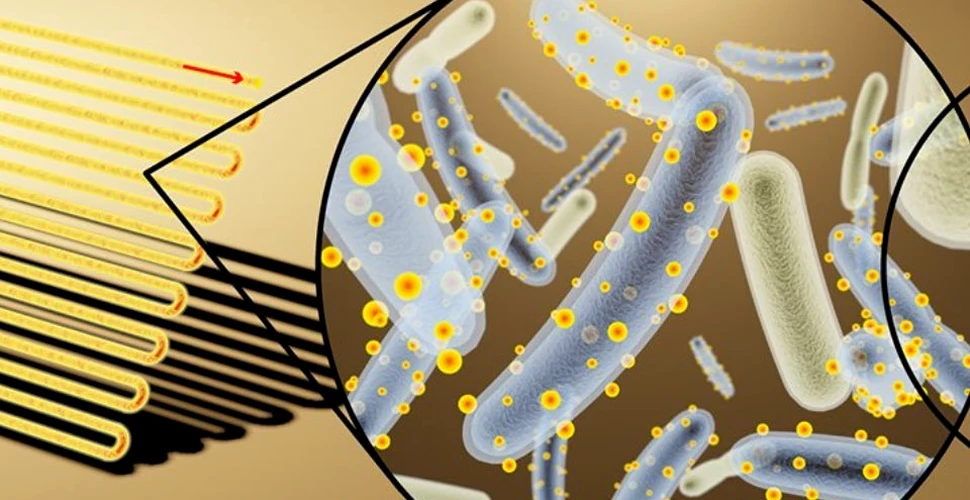 Bacteria-cyborg acoperită de panouri solare minuscule revoluţionează industria energiei regenerabile