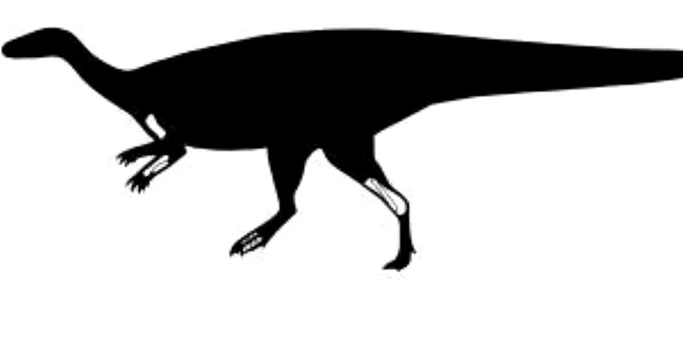 Noua specie de dinozaur descoperita in Canada