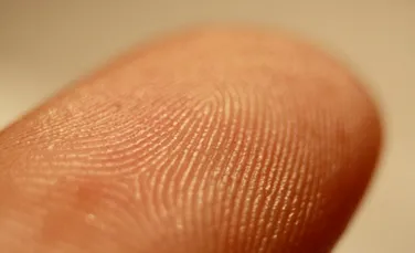 Test de cultură generală. De ce avem amprente?