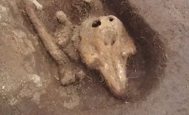 Descoperire bizară realizată de arheologi într-un cimitir medieval izolat. ”Nu am mai întâlnit aşa ceva până acum”