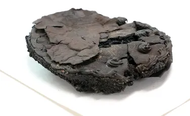 Un tort care a rezistat bombardamentului orașului Lubeck, de acum 79 de ani, a fost găsit într-o pivniță