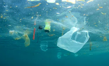 Ce s-a întâmplat după interzicerea și taxarea pungilor de plastic în SUA?