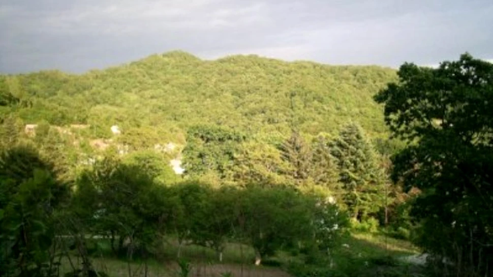 Siberia se confrunta cu temperaturi record