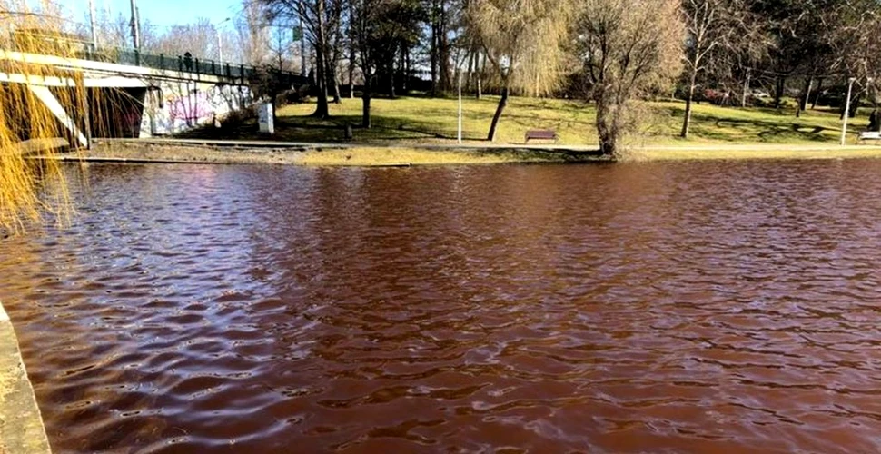 De ce apa din lacul IOR s-a făcut roșie? Misterul a fost descifrat