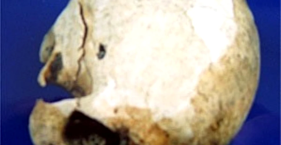 Un craniu misterios rescrie istoria