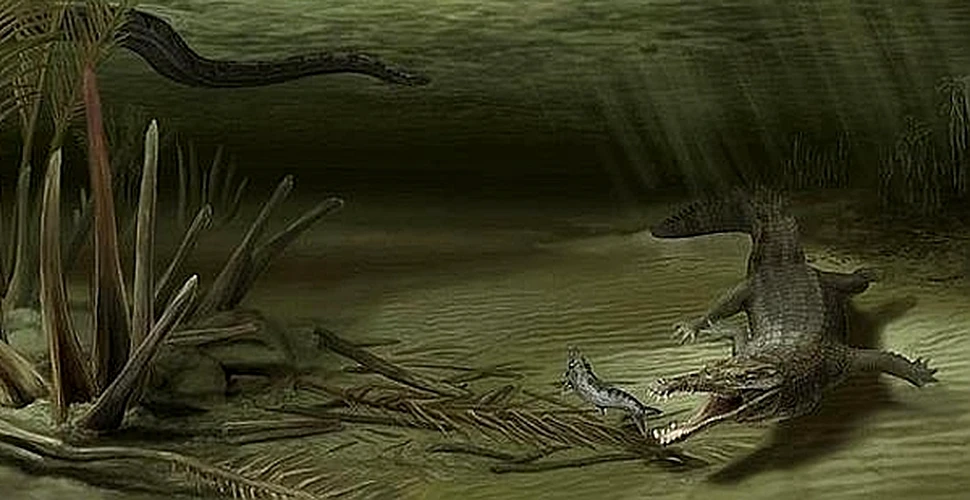 Marele crocodil fosil rivaliza cu şarpele gigant