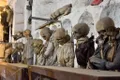 Misterul copiilor mumificați din celebrele Catacombe ale Capucinilor din Palermo