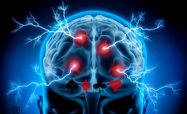 Ce se întâmplă la nivelul creierului în timp ce blufezi la poker? O perspectivă neuroștiințifică (P)