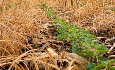 Utilizarea masivă de îngrășăminte afectează biodiversitatea