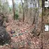 Oase de la 37 de oameni au fost găsite într-un vas uriaș de piatră vechi de sute de ani