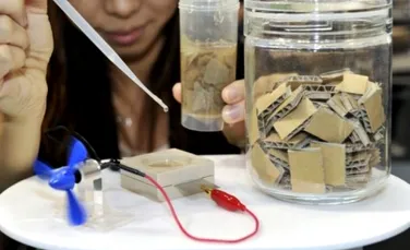 Noile baterii din hârtie reciclată vor ajuta la salvarea mediului