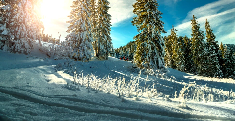 Prognoza meteo actualizată: Cum se anunță vremea în următoarele 2 săptămâni