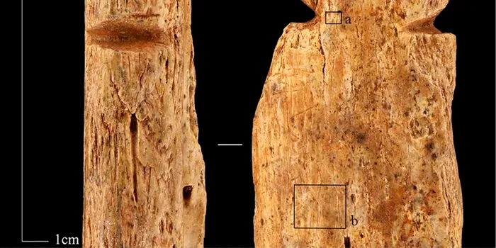 Materialul macabru din care au fost făcute pandantive găsite în morminte din epoca de piatră