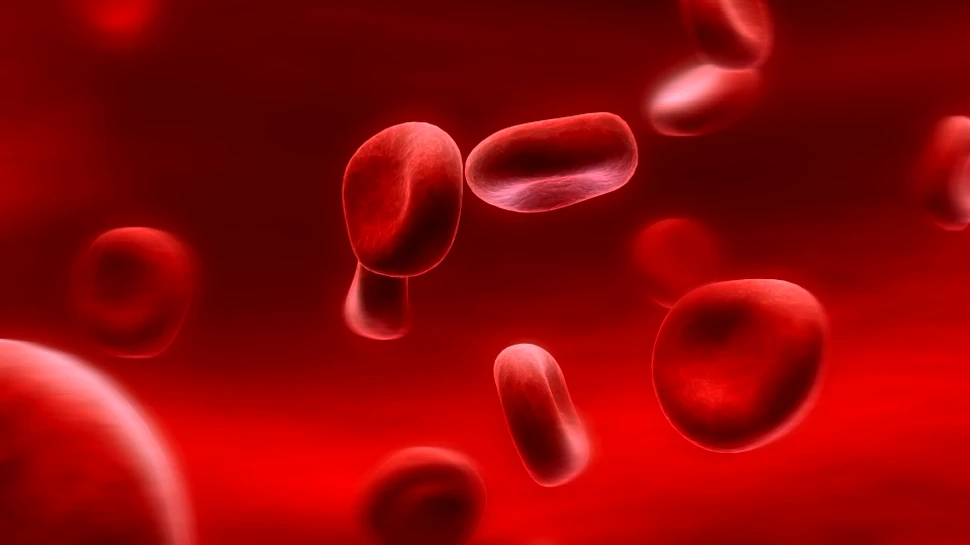 Sângele tânăr, fluidul ce ar putea alimenta ”fântâna tinereţii” din corpul uman