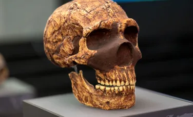 Acesta ar putea fi cel mai vechi obicei uman