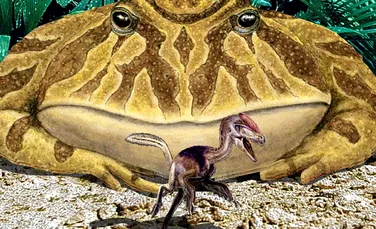 Frogzilla – broasca mancatoare de dinozauri!